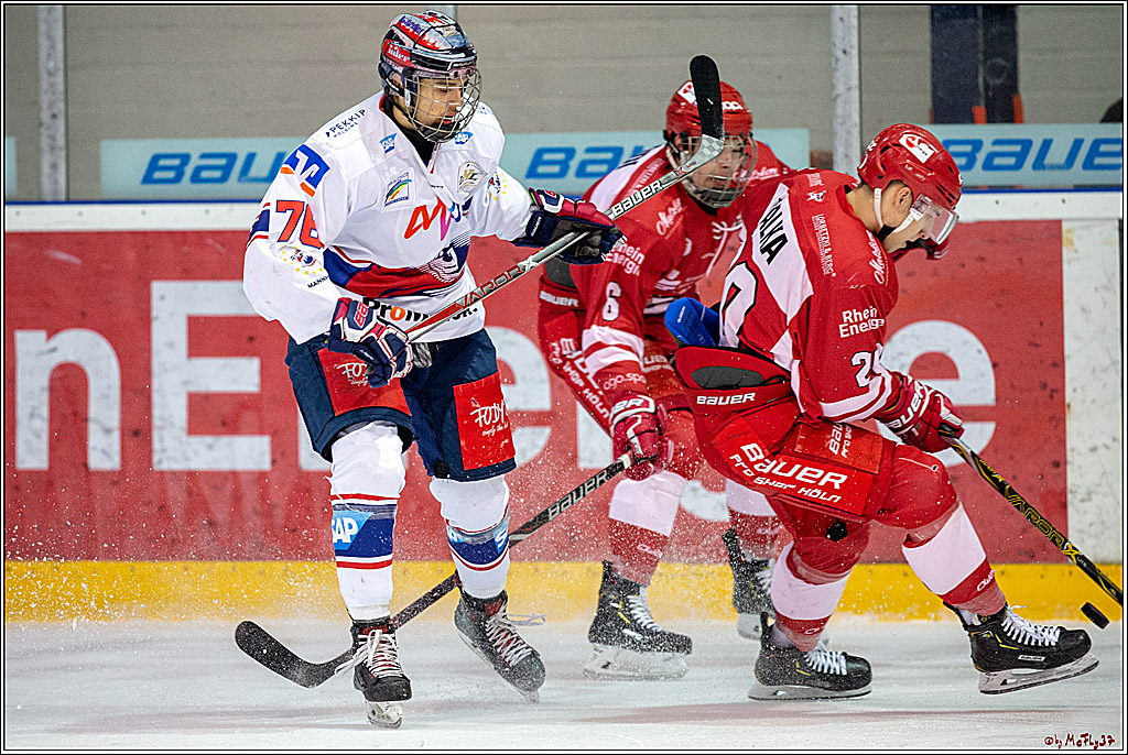 DNL-Playofffinale; Junghaie Koeln - Jungadler Mannheim, 20.03.2019